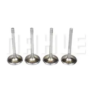 VA0700089 MAHLE