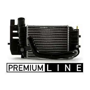 CI 441 000P MAHLE