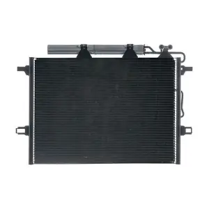 AC 318 001S MAHLE