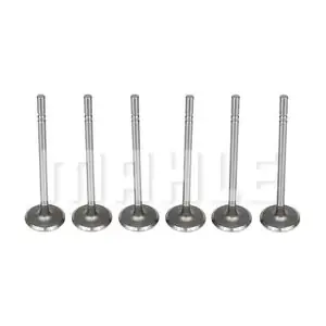 MAHLE VA0140106