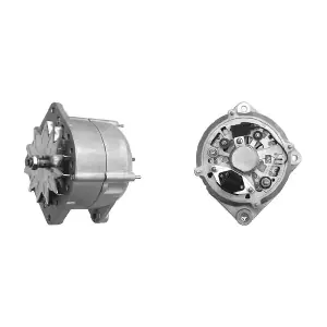 MAHLE MG 494