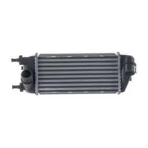 CI691000S MAHLE