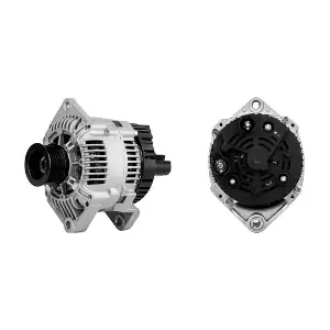 MAHLE MG1079