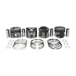 S25520 MAHLE