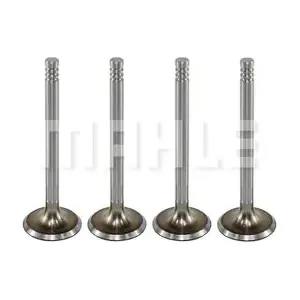 VA0700028 MAHLE