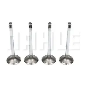 VA0440569 MAHLE