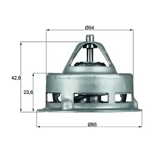 TX 2 79 MAHLE
