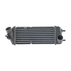 CI 693 000S MAHLE