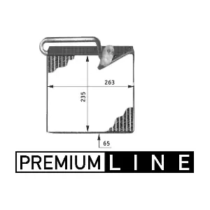 AE51000P MAHLE