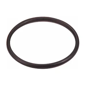 MAHLE C31302