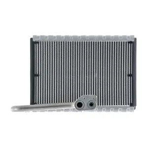 AE 169 000P MAHLE
