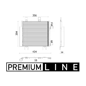 AC899000P MAHLE