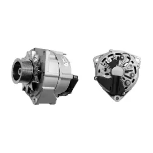 MG503 MAHLE