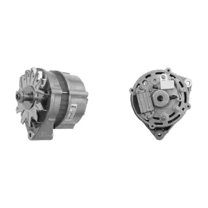 MAHLE MG209