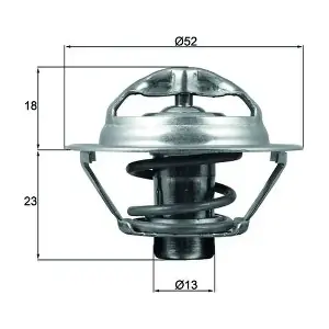 TX17595D MAHLE