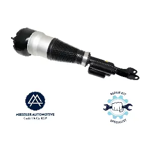 AS3160 Miessler Automotive