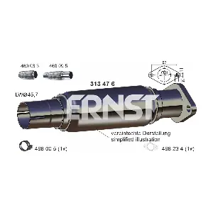 ERNST 313476