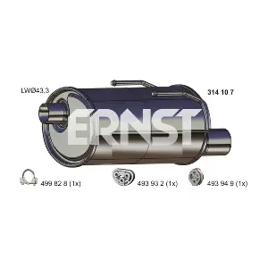 314107 ERNST