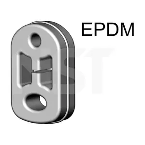495714 ERNST