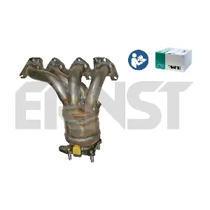 753098 ERNST
