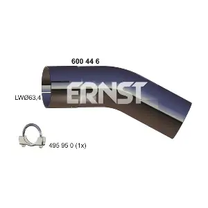 600446 ERNST