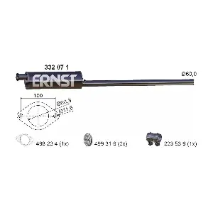 332071 ERNST