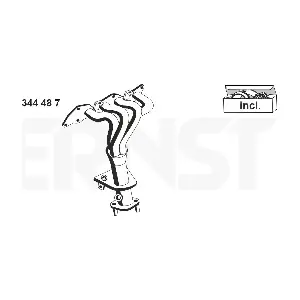 344487 ERNST