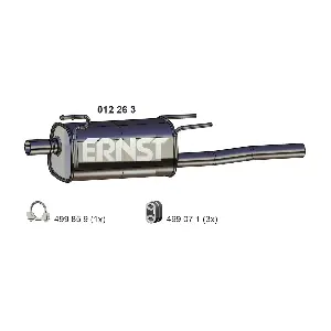 012 263 ERNST