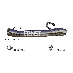 315418 ERNST