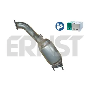 760195 ERNST