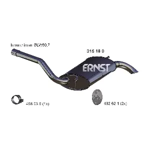 ERNST 315180