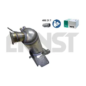920698 ERNST