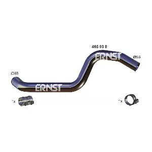465038 ERNST