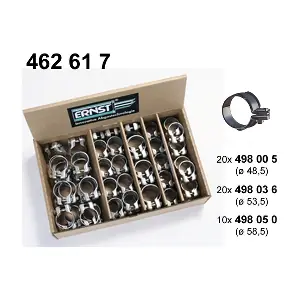 462617 ERNST