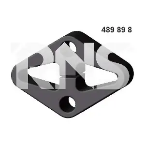 489898 ERNST