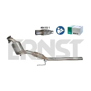 ERNST 761055