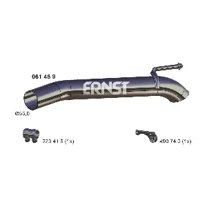 061469 ERNST