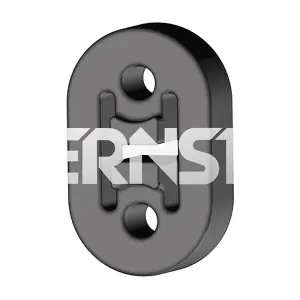 ERNST 493086