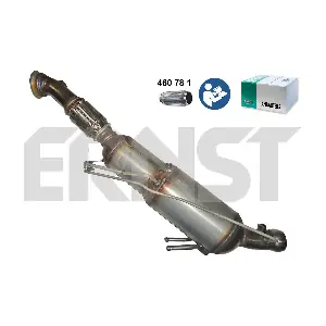 (910989) ERNST