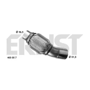 465007 ERNST
