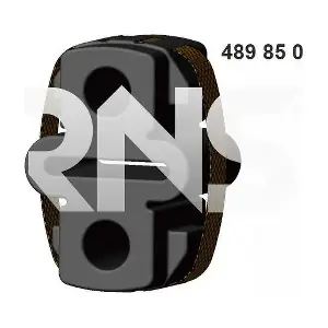 489850 ERNST