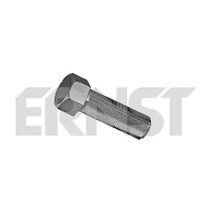 430234 ERNST