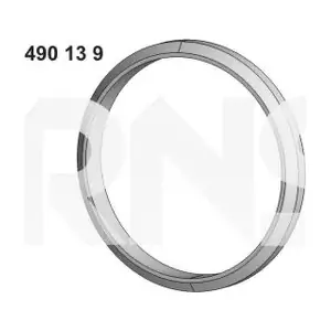 490139 ERNST