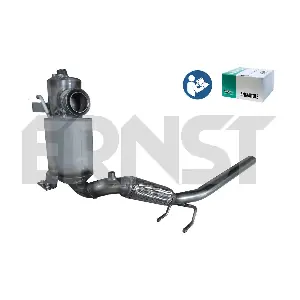 910873 ERNST