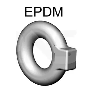 498821 ERNST
