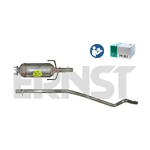 920186 ERNST