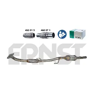 753180 ERNST