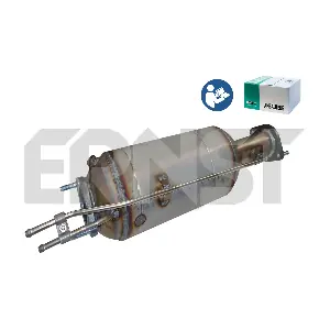 ERNST 910569