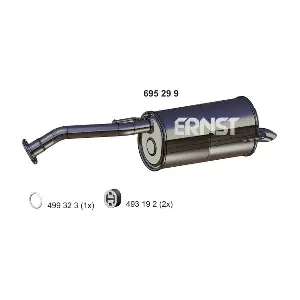 695299 ERNST