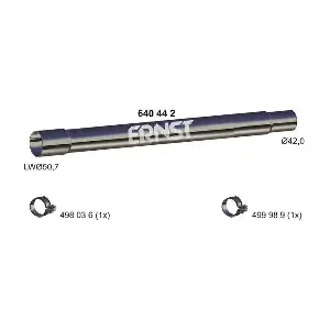 ERNST 640442